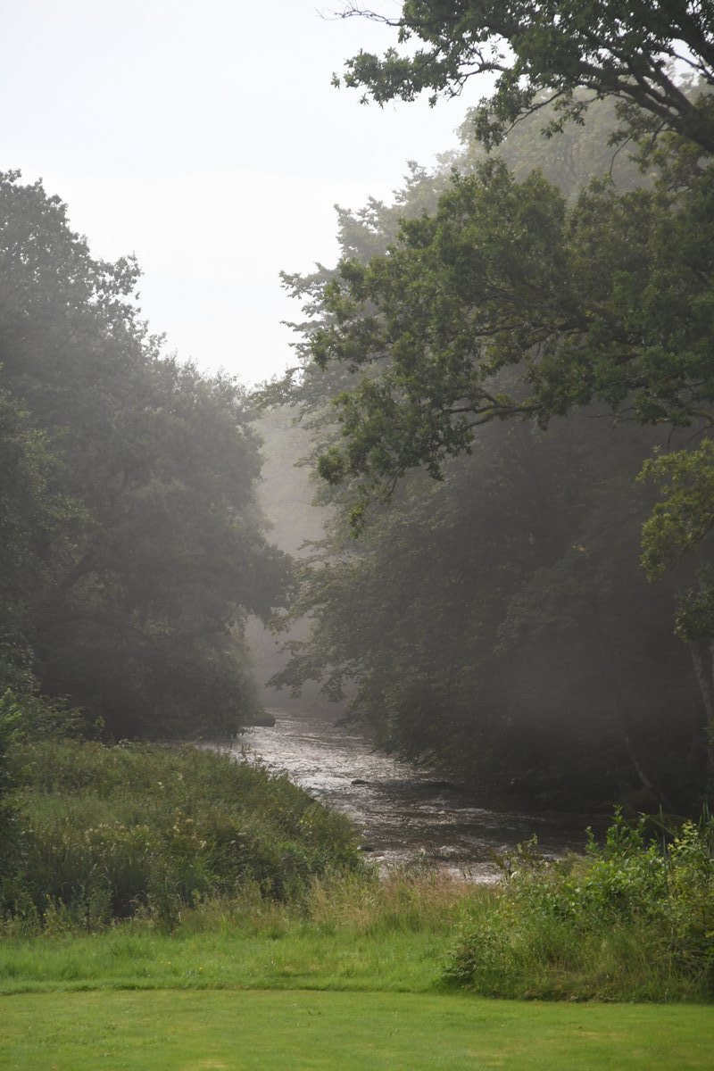 La Lesse dans la brume matinale