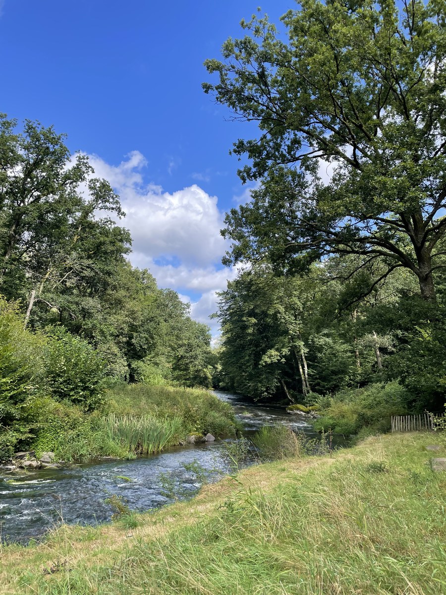 La Lesse en été